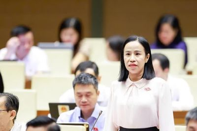 Luật Phát triển đô thị mở ra cánh cửa thể chế mới cho TPHCM