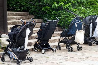 Học giả Nhật Bản: Cần một chính sách đa chiều để giải quyết 'cơn đau đầu' tỷ lệ sinh thấp