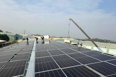 Trung Đức Solar: Hành trình kiến tạo cuộc sống bền vững từ năng lượng xanh