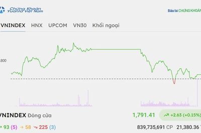 Chứng khoán hôm nay 25/8/2026: VN-Index tăng điểm, mức độ phân hóa cao