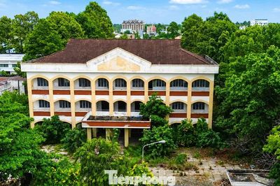 Tây Ninh 'chốt' thời hạn 53 xã phải hoàn tất phương án xử lý nhà, đất