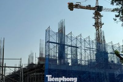 Giá căn hộ ở TPHCM giảm mạnh sau sáp nhập