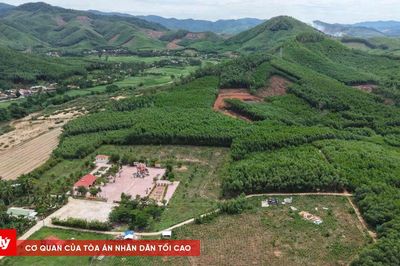 Dùng radar tìm kiếm ở khu vực nghi mộ tập thể liệt sĩ ở đồi Xuân Sơn