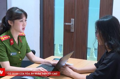 Hô biến Sâm Lai Châu thành Sâm Ngọc Linh