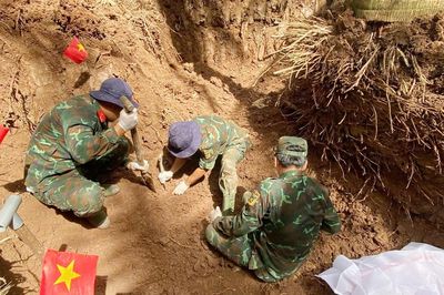 Từ manh mối của người phụ nữ, tìm được 56 hài cốt liệt sĩ dưới vườn dừa