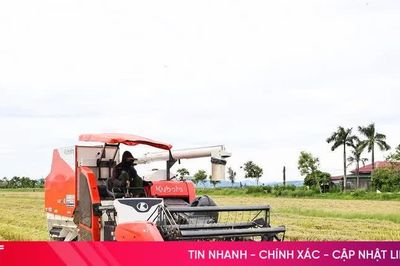 Hà Tĩnh: Tranh thủ tối đa thời tiết tạnh ráo để tập trung thu hoạch lúa hè thu