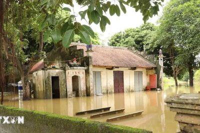 Ninh Bình khẩn trương dọn dẹp, khôi phục sản xuất sau những ngày ngập lũ