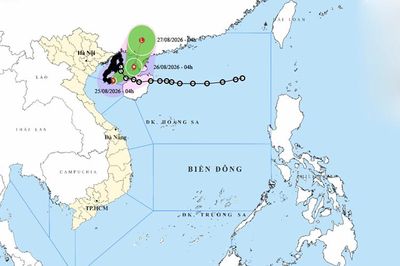 Thời tiết ngày 25/8: Bão số 4 đổi hướng, nhiều nơi tiếp tục mưa lớn