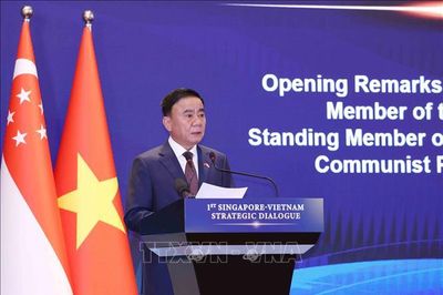 Thường trực Ban Bí thư Trần Cẩm Tú đồng chủ trì Đối thoại Chiến lược Việt Nam - Singapore lần thứ nhất
