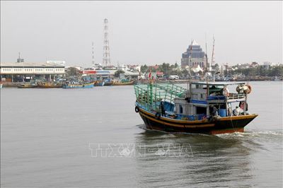 Lâm Đồng: Triển khai 10 nhiệm vụ trọng tâm chống khai thác IUU