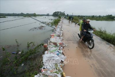 Nhiều sông tại Hà Nội vượt báo động III, 338 hộ dân bị cô lập