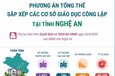 Phương án tổng thể sắp xếp các cơ sở giáo dục công lập tại tỉnh Nghệ An