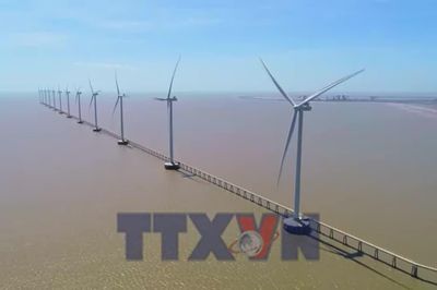 Đề xuất xác định giá điện mặt trời theo từng tỉnh, thành