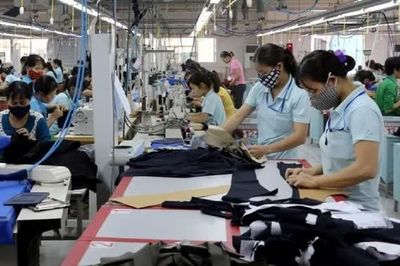 Giảm thuế 30%: Hơn 865.000 doanh nghiệp và 2,7 triệu hộ kinh doanh được hưởng lợi