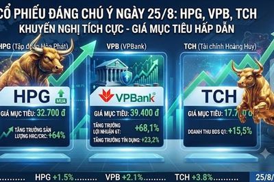 Điểm tin cổ phiếu 25/8: Giá mục tiêu mới nhất của HPG, VPB, TCH