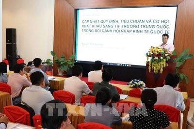 Xuất khẩu sang Trung Quốc: Doanh nghiệp Vĩnh Long phải đổi thay gì?