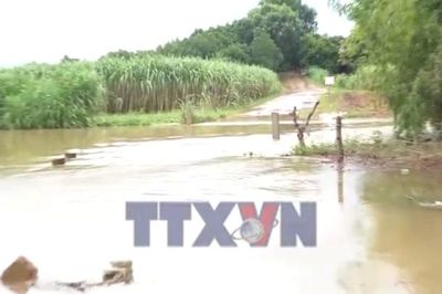 Thanh Hóa khẩn trương ứng phó với mưa lũ
