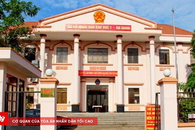 TAND khu vực 1 – An Giang: Dốc toàn lực thực hiện cao điểm '90 ngày đêm giải quyết đơn, án'