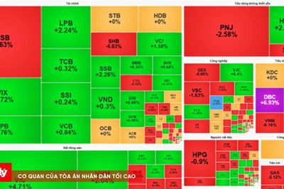 Chứng khoán phiên sáng 25/8: VIC 'gánh' phần lớn đà tăng, VN-Index vượt 1.807 điểm