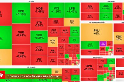 Chứng khoán kết ngày 25/8: VIC một mình kéo 10,32 điểm, VN-Index chốt phiên tăng nhẹ