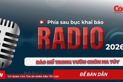 Radio Phía sau bục khai báo: Đào hố trong vườn chôn ma túy để bán dần