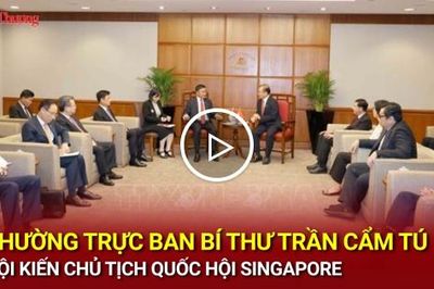 Thường trực Ban Bí thư Trần Cẩm Tú hội kiến Chủ tịch Quốc hội Singapore