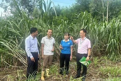 Bảo đảm an sinh xã hội từ chương trình cho vay hỗ trợ việc làm