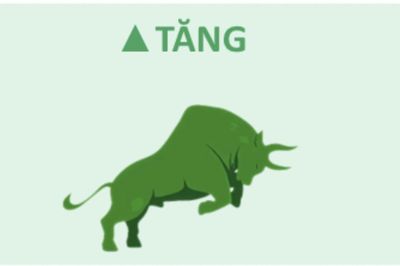 Chuyên gia SHS: Có khoảng 75% số mã đang có xu hướng tăng, vẫn có thể mua tìm kiếm cơ hội