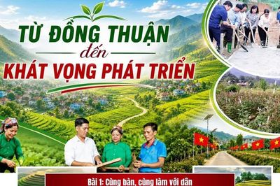Bài 1: Cùng bàn, cùng làm với dân
