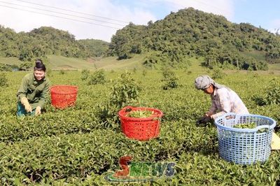 Tạo sinh kế bền vững cho đồng bào dân tộc thiểu số