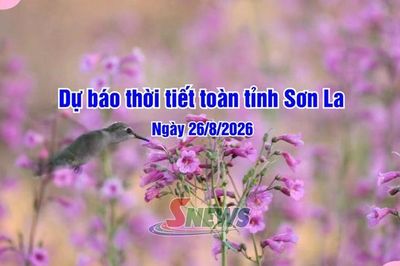 Dự báo thời tiết toàn tỉnh Sơn La ngày 26/8/2026
