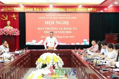 Hội nghị Ban Thường vụ Đảng ủy UBND tỉnh tháng 8/2026