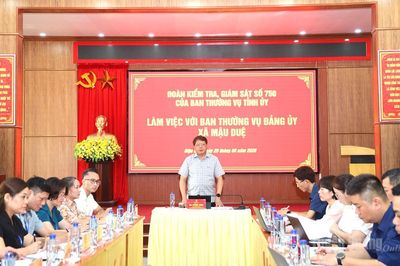 Đoàn kiểm tra, giám sát của Ban Thường vụ Tỉnh ủy làm việc với Ban Thường vụ Đảng ủy các xã