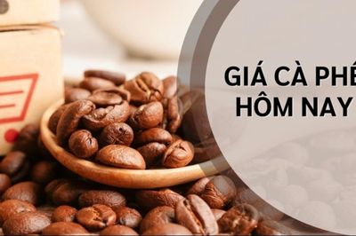 Ngày 25/8: Giá cà phê tiếp đà khởi sắc, hồ tiêu neo ở mức cao