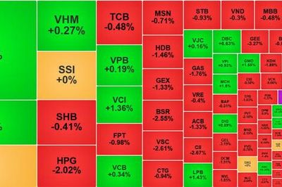 VIC kéo VN-Index tăng điểm nhẹ, hàng loạt cổ phiếu bị bán mạnh