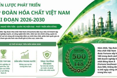 Vinachem đặt mục tiêu trở thành tập đoàn công nghiệp mạnh, thúc đẩy chuyển đổi xanh giai đoạn 2026–2030
