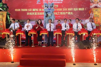 Nhà máy sợi Polyester và PET Chip Tinfulong tại Đà Nẵng: Hướng tới mô hình kinh tế tuần hoàn