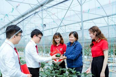 Dòng vốn Agribank bồi đắp động lực phát triển từ khu vực 'Tam nông'