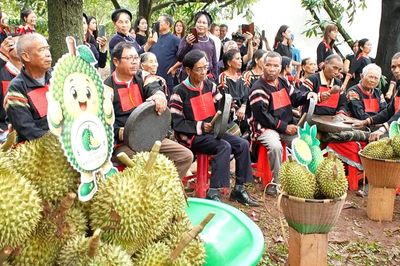 Sầu riêng hòa nhịp văn hóa đại ngàn