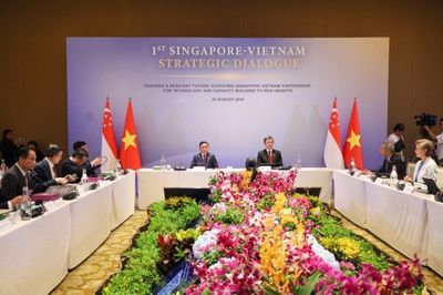 Việt Nam - Singapore hướng đến tương lai chung tự cường
