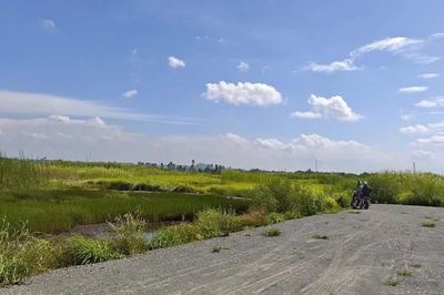 Dự án khu dân cư 55 ha hơn 22 năm vẫn chỉ là bãi đất trống
