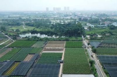 Đánh thuế cao với đất chậm đưa vào sử dụng