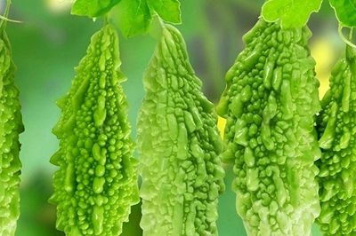 Bác sĩ khuyên người bị bệnh thận chớ dại ăn nhiều 5 loại rau này