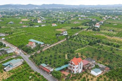 Thuế hướng dẫn mới về tính lại, bù trừ và hoàn trả tiền sử dụng đất