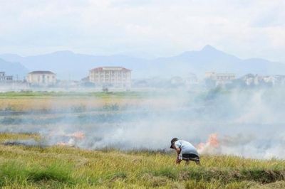 Những nguy hiểm rình rập từ việc đốt rơm rạ sau mùa gặt ở xã Lệ Thủy