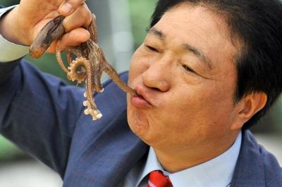 Vì sao người Hàn Quốc thích ăn bạch tuộc sống?