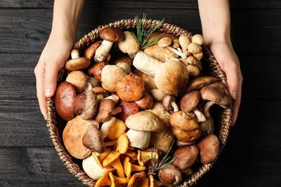 Loại thực phẩm được ca ngợi, rất quen thuộc trên mâm cơm người Việt