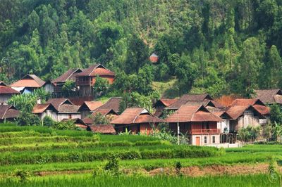 Giữ hồn văn hóa bản địa để trở thành 'Làng du lịch tốt nhất thế giới'