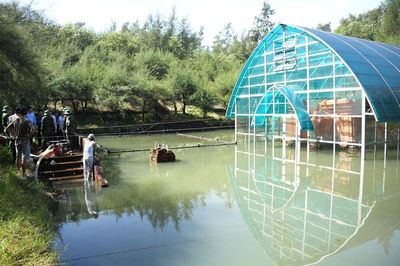 Sớm đưa ra quyết định trước khi quá muộn