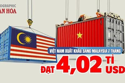 Malaysia chi hơn 4 tỉ USD mua hàng Việt, một nhóm hàng tăng 86,3%